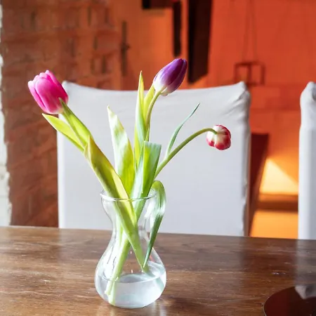 Die Kaisermuhle Hotel 3*